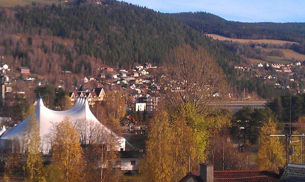 Valdres Naturlegvis Fagernes Eksteriør bilde